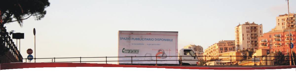 CAMION VELA PAVIA